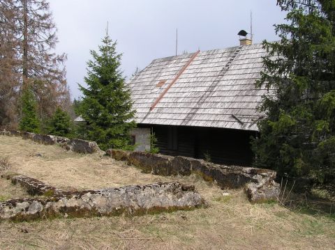 Foto 19